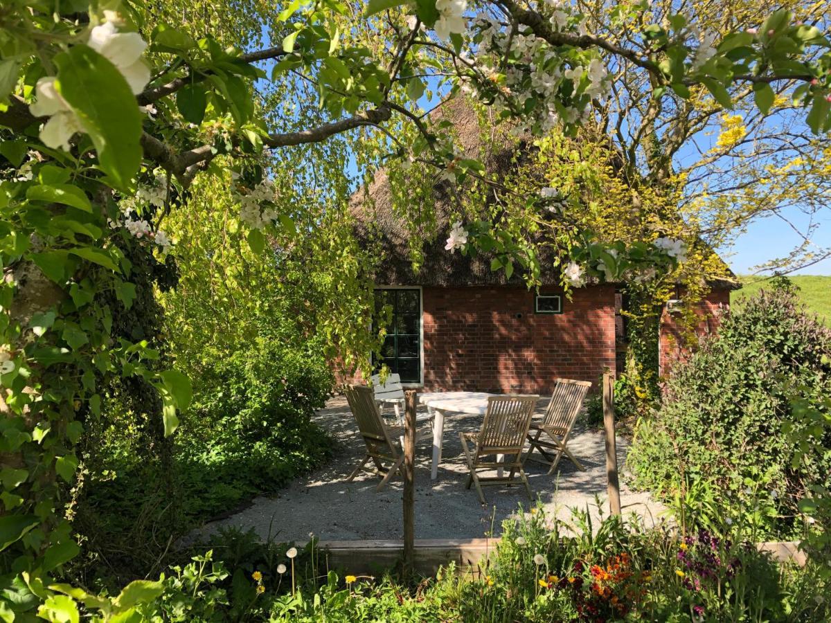 Villa Haus Kaethe Am Deich Balje Exterior foto